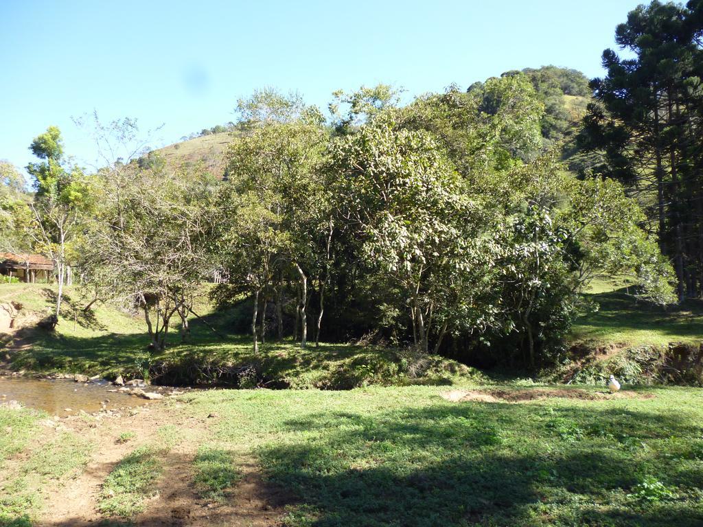 Apartamento Ferias Fazenda Usina 1 博凯纳-迪米纳斯 外观 照片