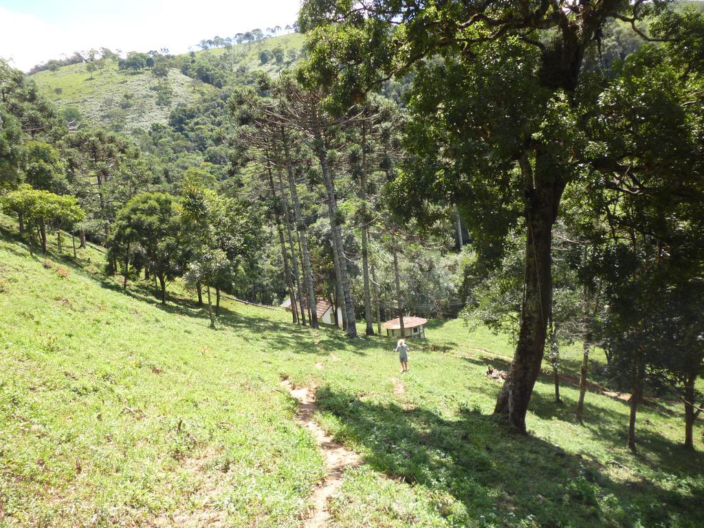 Apartamento Ferias Fazenda Usina 1 博凯纳-迪米纳斯 外观 照片