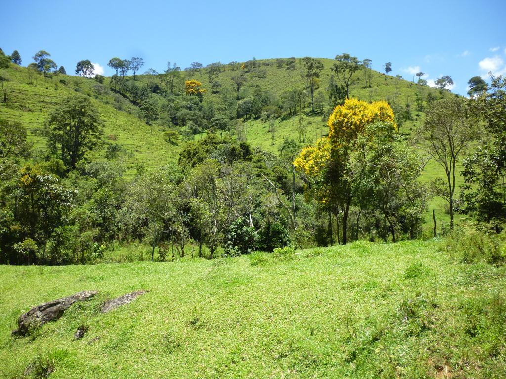 Apartamento Ferias Fazenda Usina 1 博凯纳-迪米纳斯 外观 照片