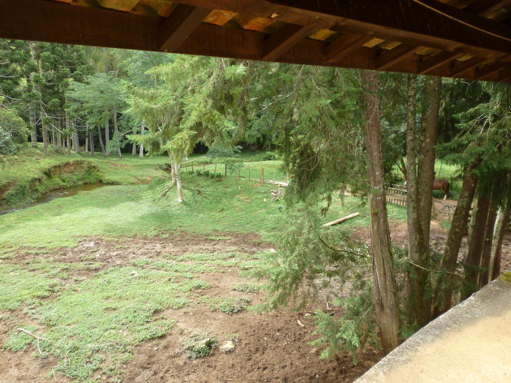 Apartamento Ferias Fazenda Usina 1 博凯纳-迪米纳斯 外观 照片