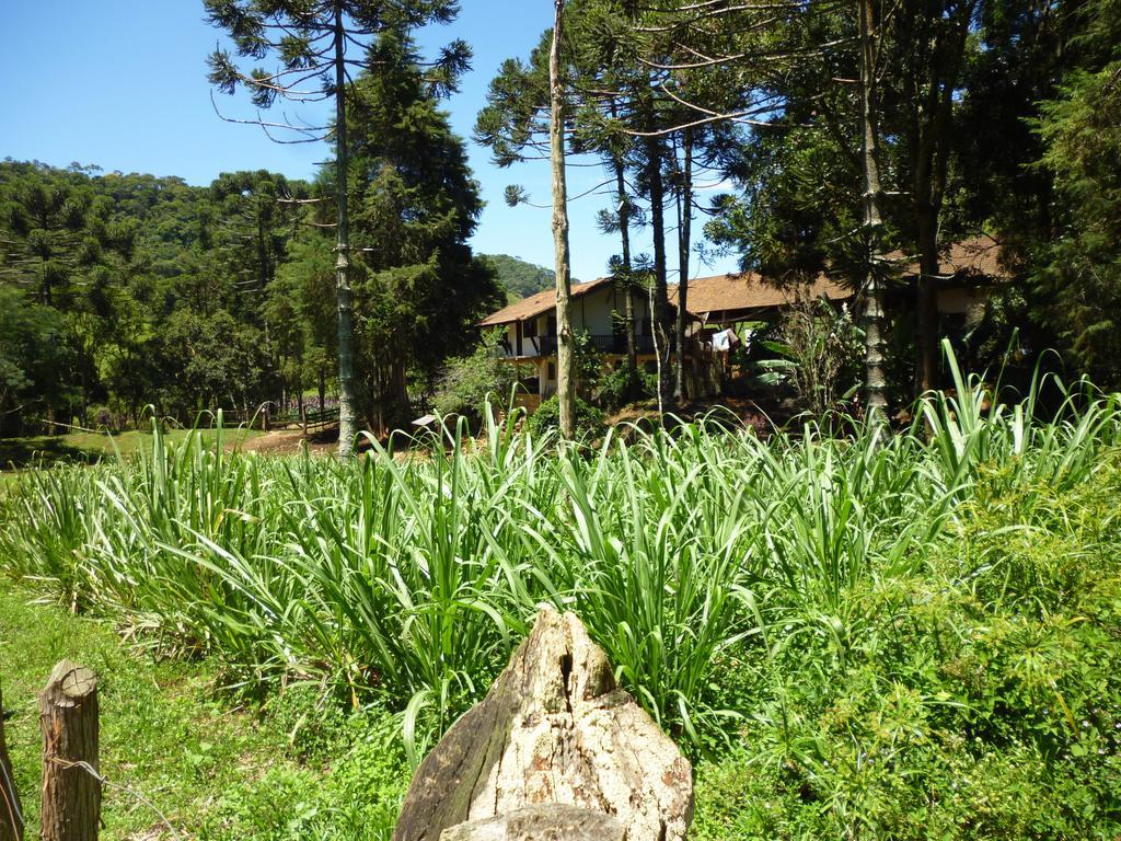 Apartamento Ferias Fazenda Usina 1 博凯纳-迪米纳斯 外观 照片