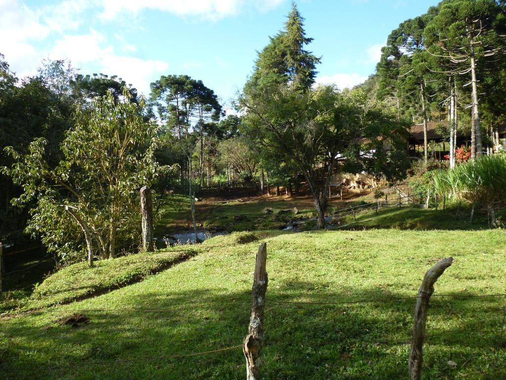 Apartamento Ferias Fazenda Usina 1 博凯纳-迪米纳斯 外观 照片