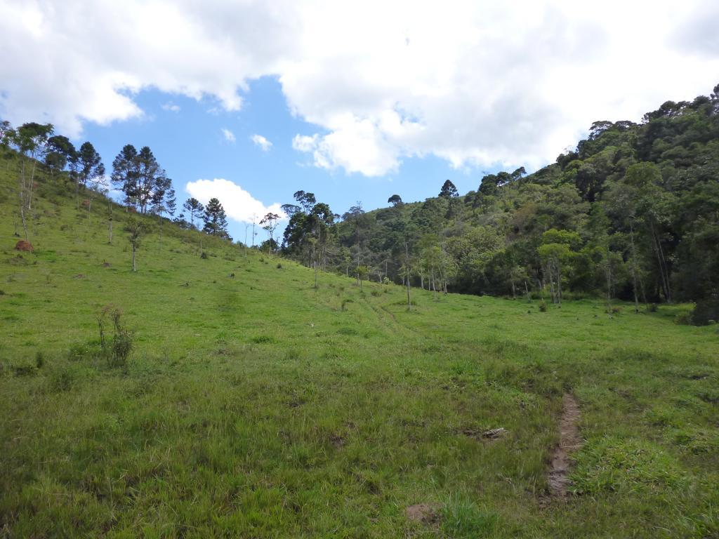 Apartamento Ferias Fazenda Usina 1 博凯纳-迪米纳斯 外观 照片