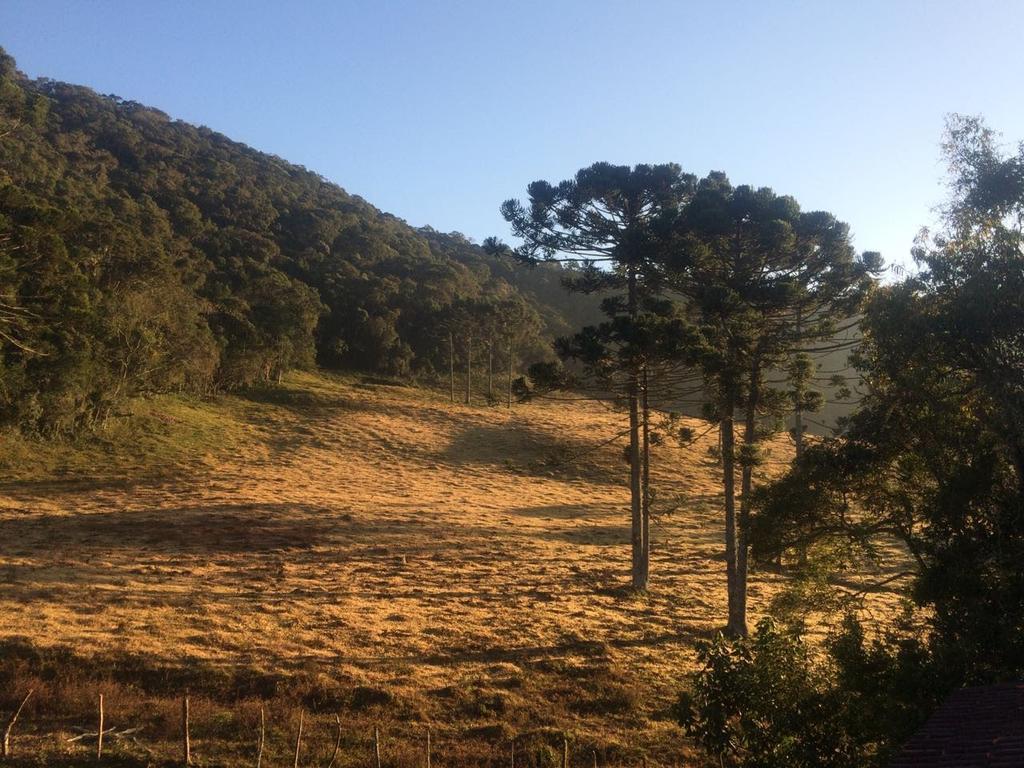Apartamento Ferias Fazenda Usina 1 博凯纳-迪米纳斯 外观 照片