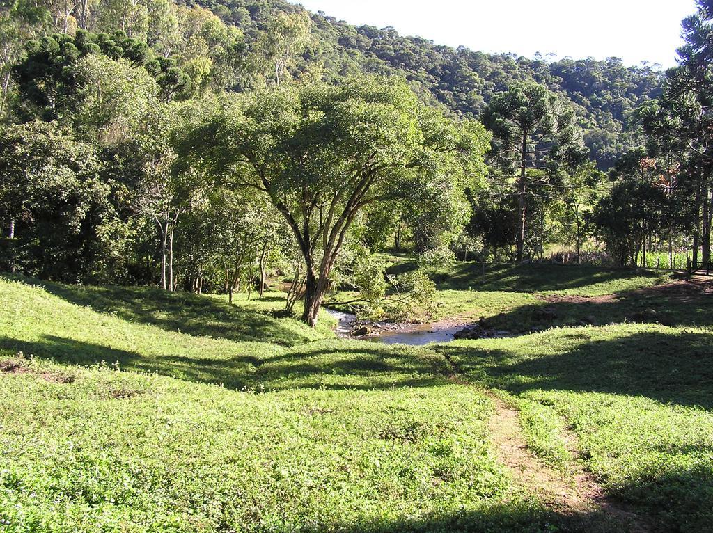 Apartamento Ferias Fazenda Usina 1 博凯纳-迪米纳斯 外观 照片