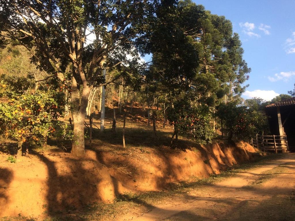 Apartamento Ferias Fazenda Usina 1 博凯纳-迪米纳斯 外观 照片