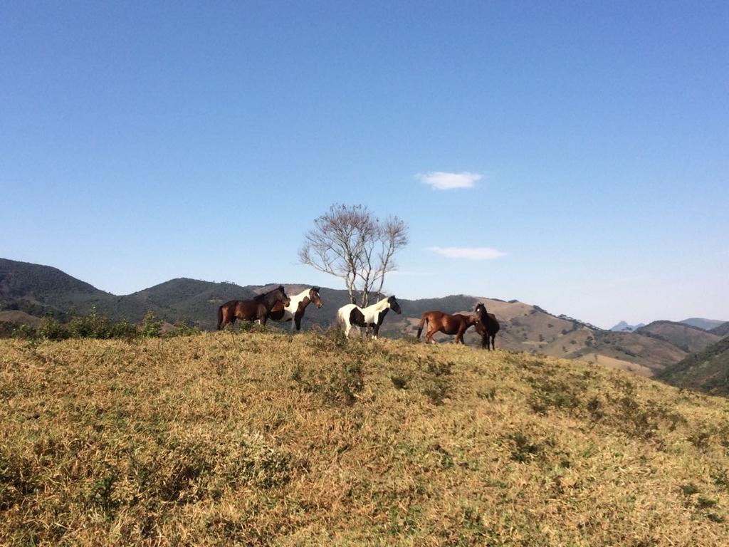 Apartamento Ferias Fazenda Usina 1 博凯纳-迪米纳斯 外观 照片