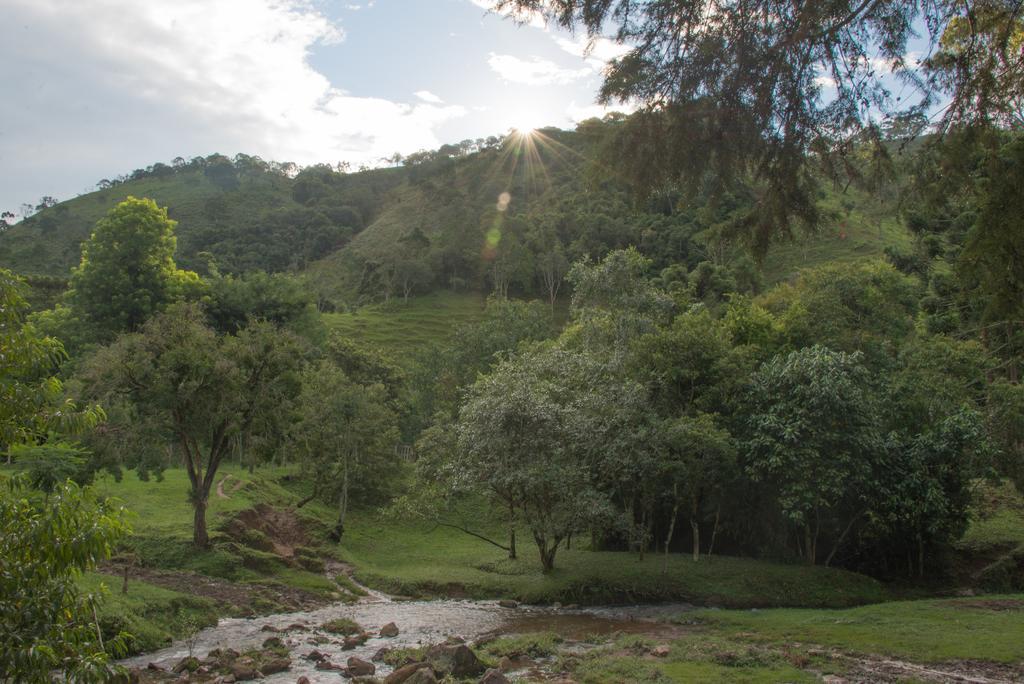 Apartamento Ferias Fazenda Usina 1 博凯纳-迪米纳斯 外观 照片