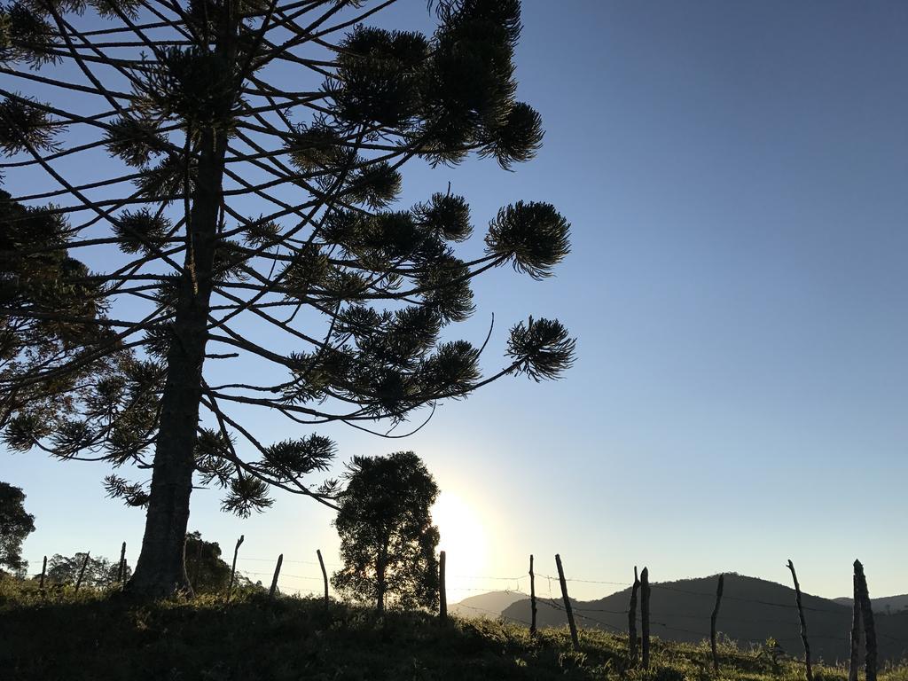 Apartamento Ferias Fazenda Usina 1 博凯纳-迪米纳斯 外观 照片