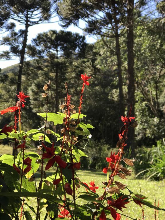 Apartamento Ferias Fazenda Usina 1 博凯纳-迪米纳斯 外观 照片
