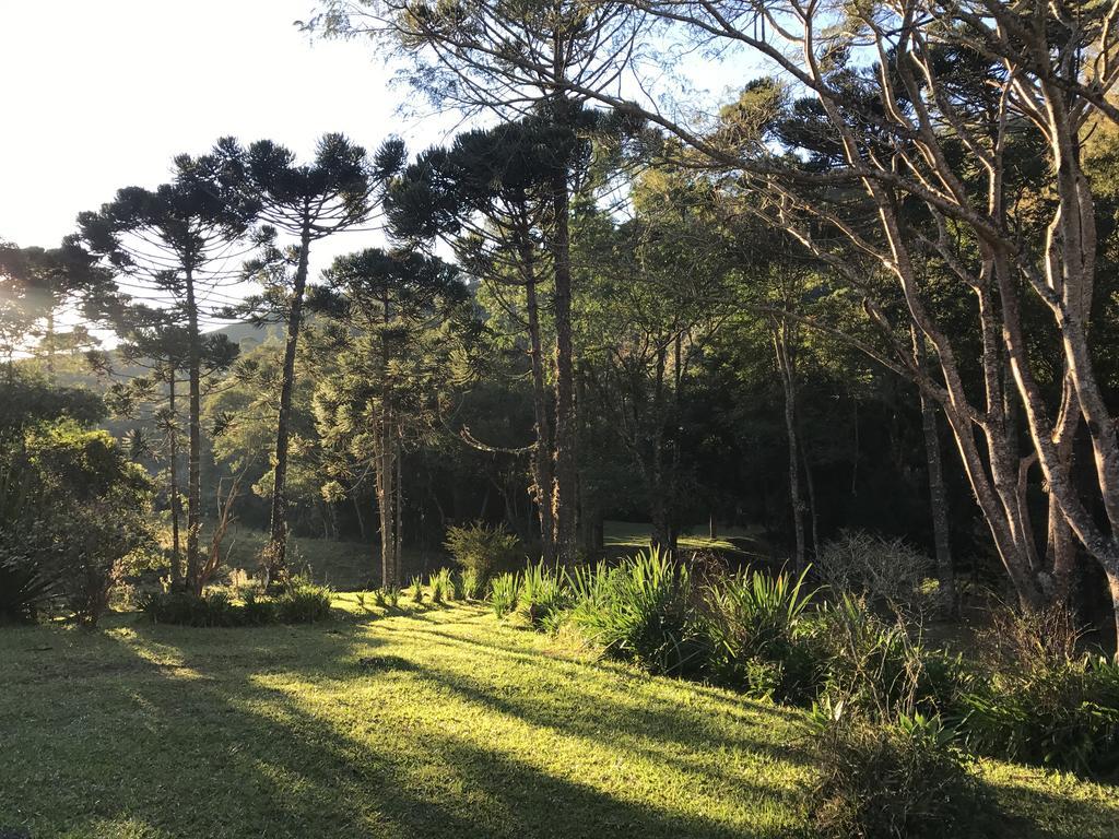 Apartamento Ferias Fazenda Usina 1 博凯纳-迪米纳斯 外观 照片