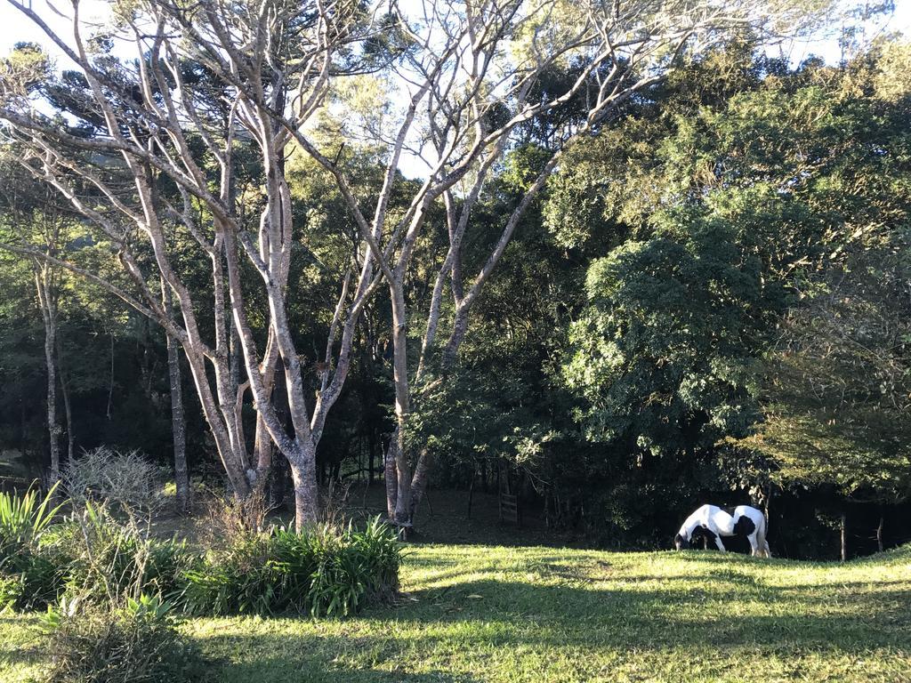 Apartamento Ferias Fazenda Usina 1 博凯纳-迪米纳斯 外观 照片