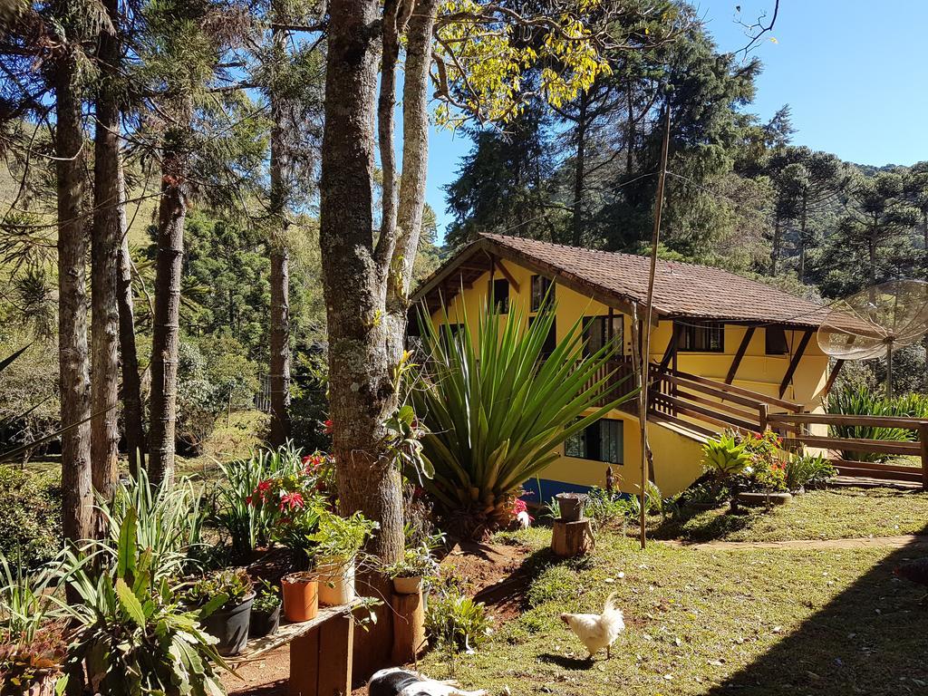 Apartamento Ferias Fazenda Usina 1 博凯纳-迪米纳斯 外观 照片